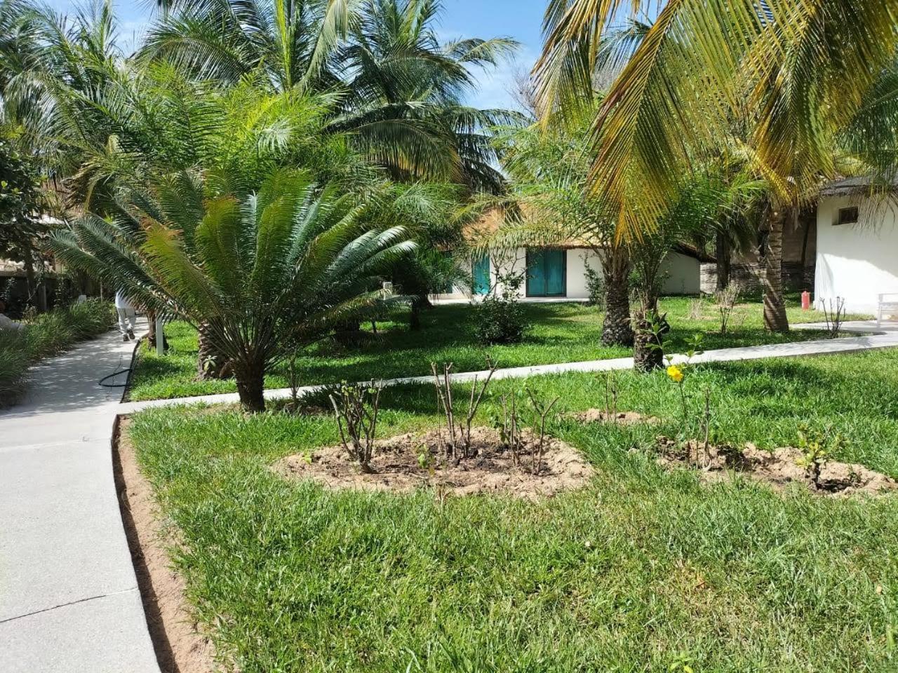 Les Hibiscus Sur Mer Kabrousse Exterior photo